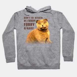 Fearful Feline Hoodie